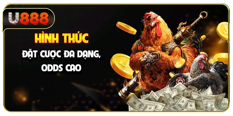 Hình thức đặt cược đa dạng, odds cao