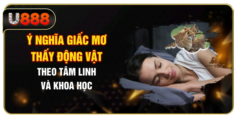 Ý nghĩa giấc mơ thấy động vật theo tâm linh và khoa học